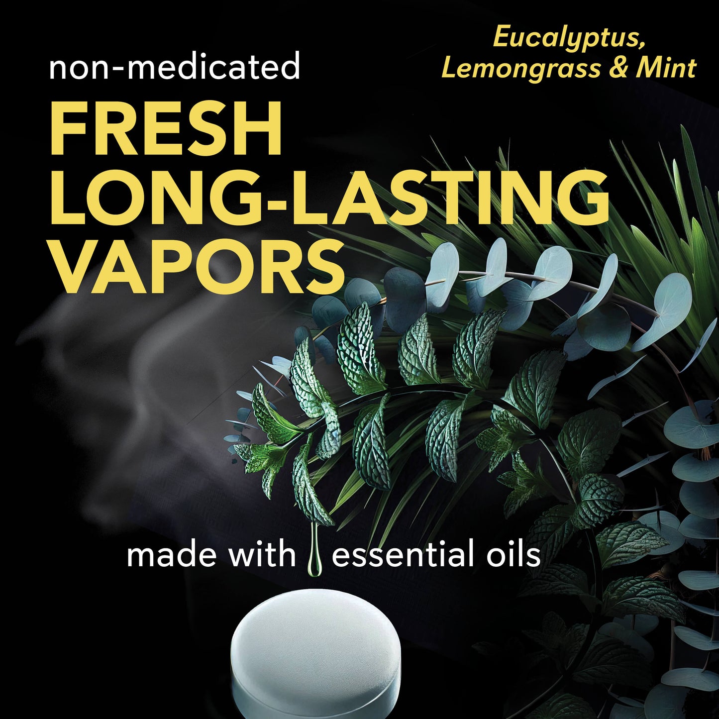 Vapor Shower Tablets Eucalyptus, Lemongrass & Mint (12 Count)