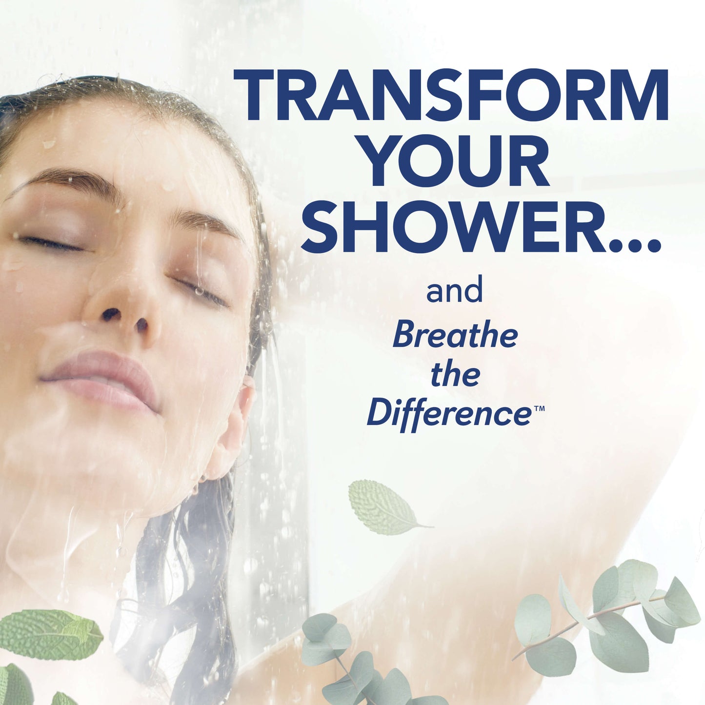 Vapor Shower Tablets Mint & Eucalyptus (12 Count)