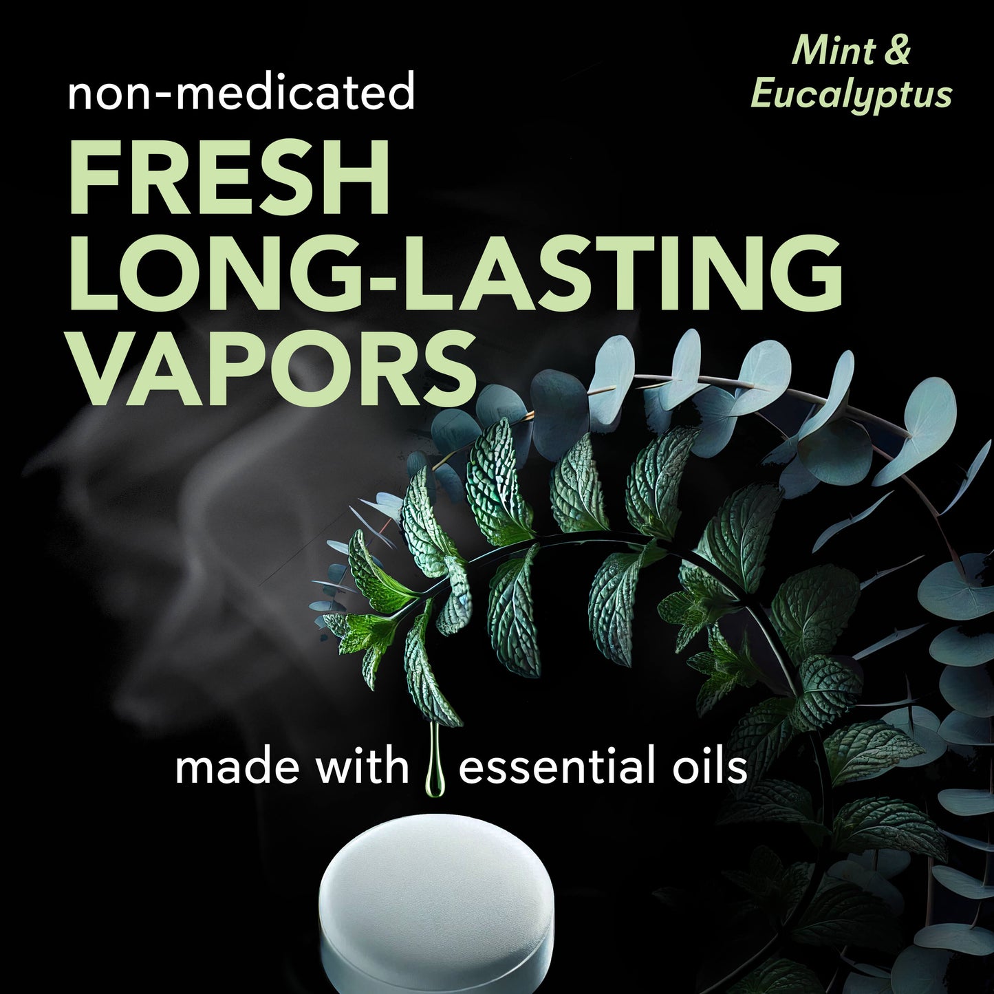 Vapor Shower Tablets Mint & Eucalyptus (12 Count)