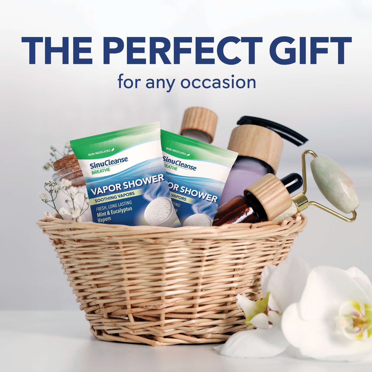 Vapor Shower Tablets Mint & Eucalyptus (12 Count)